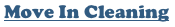 Move Out Cleaning